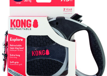 Kong Explore